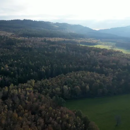 Haus Indy Apartment Gemunden (Rhein-Hunsrueck)